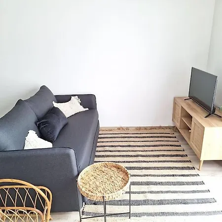 Renove Avec Terrasse 40 M 2 *
